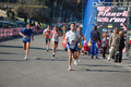 appiarun_pino_0365