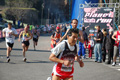 appiarun_pino_0377