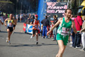 appiarun_pino_0378