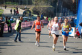 appiarun_pino_0395