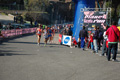 appiarun_pino_0412