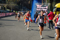 appiarun_pino_0428