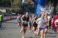 appiarun_pino_0439