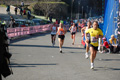 appiarun_pino_0471