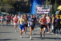appiarun_pino_0536
