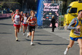 appiarun_pino_0692