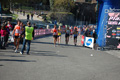 appiarun_pino_0704