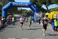 appiarun_pino_0812