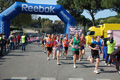 appiarun_pino_0820