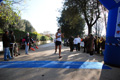telethon_3009