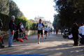 telethon_3051