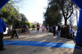 telethon_3113
