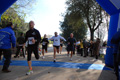 telethon_3202