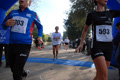 telethon_3204