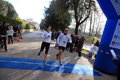 telethon_3302