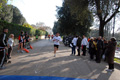 telethon_3308