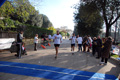 telethon_3333