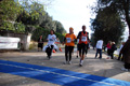 telethon_3539