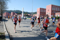 pat_1446