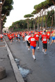runforfood_4300