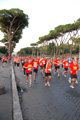 runforfood_4308