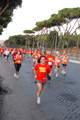 runforfood_4423