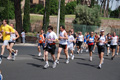 race_8547