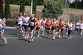 race_8557