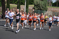 race_8559
