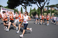 race_8566