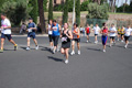 race_8644