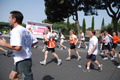 race_8884