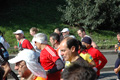 dominici_km_02_546