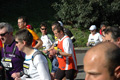 dominici_km_02_557