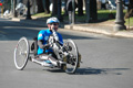 dominici_km_12_569