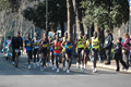 dominici_km_12_570