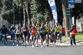 dominici_km_12_571