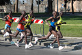 dominici_km_12_572