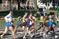 dominici_km_12_579