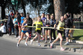 dominici_km_12_581