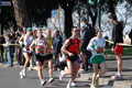 dominici_km_12_591