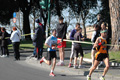 dominici_km_12_592