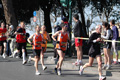 dominici_km_12_601