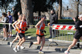dominici_km_12_602
