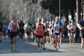 dominici_km_12_613