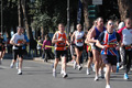 dominici_km_12_620