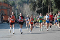 dominici_km_12_624