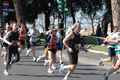 dominici_km_12_629