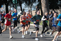 dominici_km_12_641