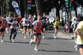 dominici_km_12_647